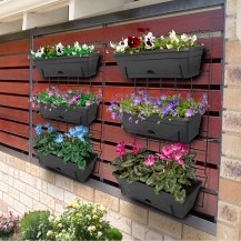 18194 - garden wall in-situ